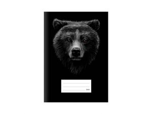 Školní sešit LUX A5 540