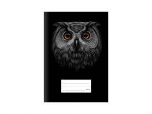 Školní sešit LUX A5 540