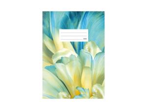 Školní sešit LUX A5 540