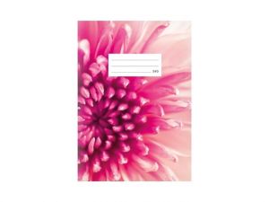 Školní sešit LUX A5 540