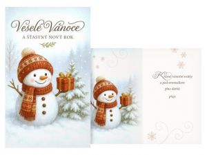 Přání Vánoční malé V23-179 Z