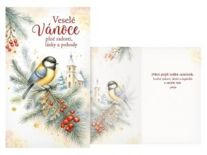 Přání Vánoční V24-499 T