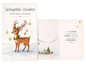 Přání vánoční s klopou na peníze V24-501 H