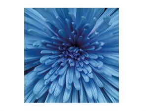 Ubrousek P 33x33 celorok SDL897005