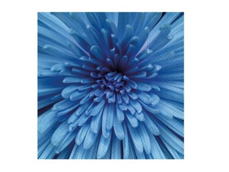 Ubrousek P 33x33 celorok SDL897005