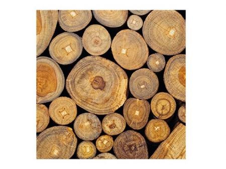 Ubrousek P 33x33 celorok SDL895000