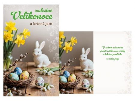 Přání Velikonoční malé N02-103 Z