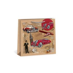 ARGUS Dárková papírová taška (24 x 24 cm) 07400005