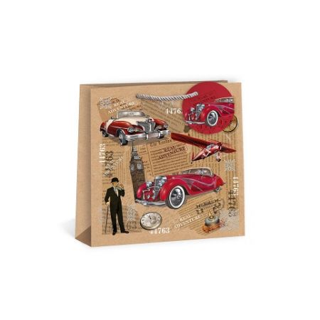 ARGUS Dárková papírová taška T8N (24 x 24 cm) 07400005