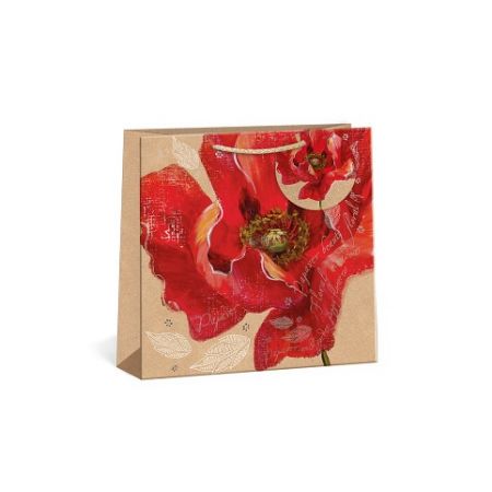 ARGUS Dárková papírová taška (24 x 24 cm) 07400006