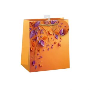 ARGUS Dárková papírová taška (19 x 23 cm) 07470810h