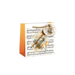 ARGUS Dárková papírová taška (16 x 16 cm) 07270805