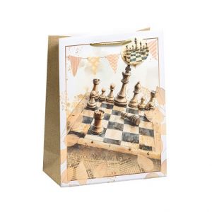 ARGUS Dárková papírová taška (29 x 38 cm) 07870807