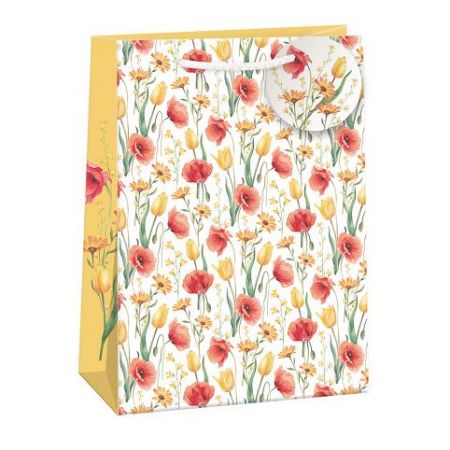 ARGUS Dárková papírová taška (34.5 x 48 cm) 07970814