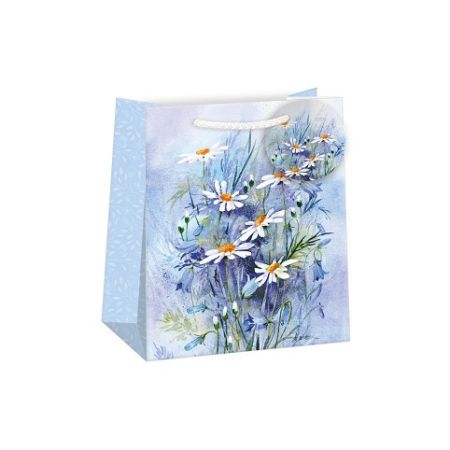 ARGUS Dárková papírová taška (19 x 23 cm) 07470815