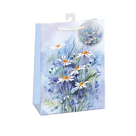 ARGUS Dárková papírová taška (23 x 32 cm) 07570815h