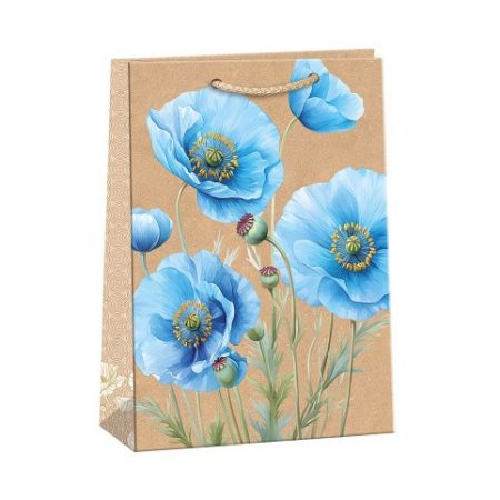 ARGUS Dárková papírová taška (31 x 41.5 cm) 07840150