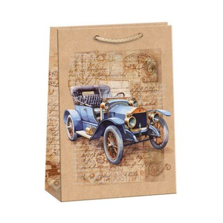 ARGUS Dárková papírová taška (31 x 41.5 cm) 07840145