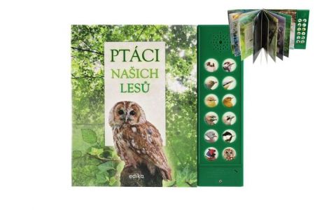 Zvuková knížka Ptáci našich lesů na baterie 22,5x21cm