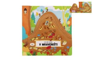 Knížka Co se děje v mraveništi 23x23cm
