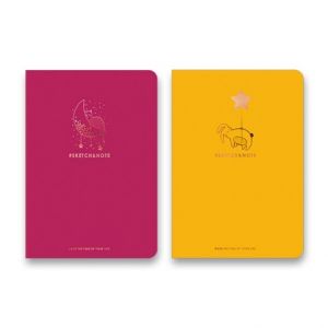 Náčrtník Shkolyaryk Muse Sketch &amp; Note Colours A5, čistý, 64 listů, červený a žlutý