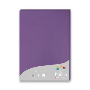 Barevná dopisní karta Clairefontaine fialová, A4