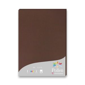 Barevná dopisní karta Clairefontaine, A4, 25 ks - hnědá