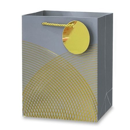 Dárková papírová taška - velikost M, silver