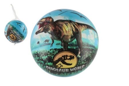 Míč Svět dinosaurů nafouknutý 23cm v síťce