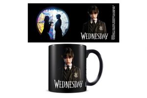 Hrnek Wednesday (Friendship) keramický 315ml v krabici 12x10,5x8,5cm