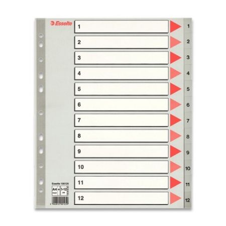 Rozlišovač Esselte Maxi - 1 - 12, 12 listů