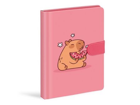 Blok s magnetem 13x19cm,120listů