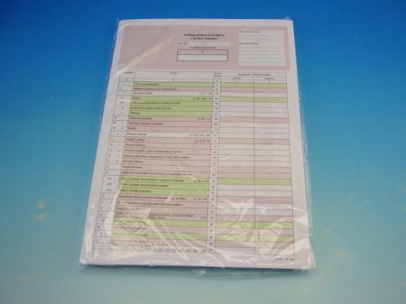 Výkaz zisků a ztrát v plném rozsahu A4 /OP1063/