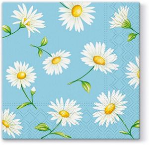 Ubrousky PAW TETE L (20ks) Daisy