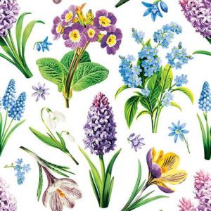 Ubrousky 33 x 33 cm DAISY 20 ks