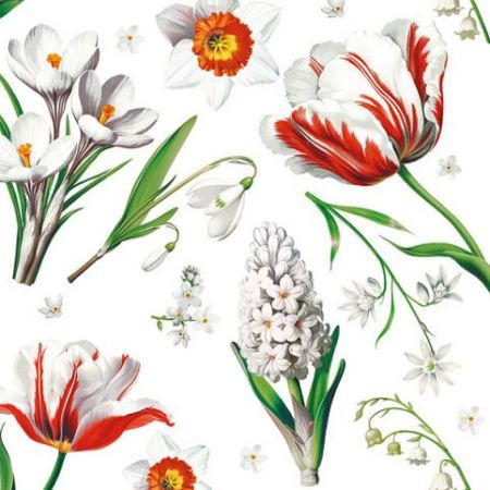 Ubrousky 33 x 33 cm DAISY 20 ks