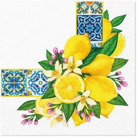 Ubrousky PAW Dekor L (20ks) Mediterranean Frame