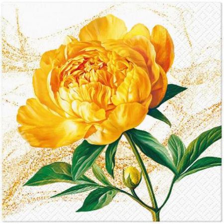 Ubrousky PAW Dekor L (20ks) Peony Blossom