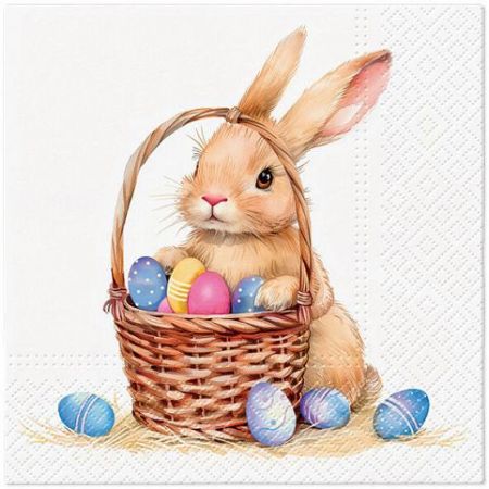 Ubrousky PAW TETE L (20ks) Subtle Bunny