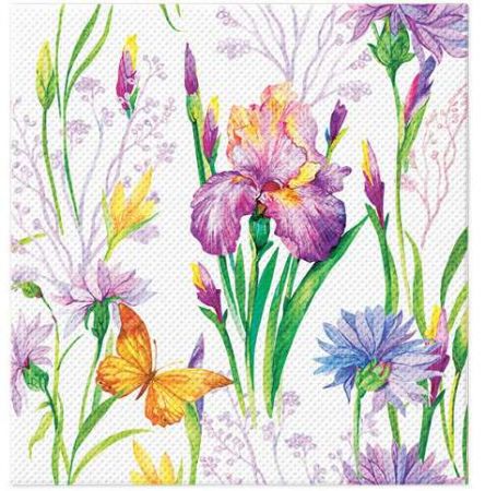 Ubrousky PAW Softpoint Iris with Butterfly 20ks Iris with Butterfly