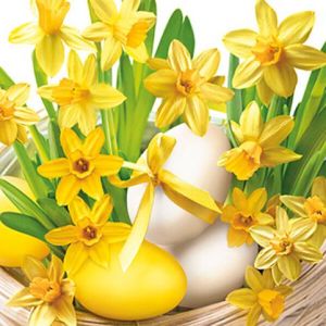 Ubrousky DAISY L (20ks) Sunny Daffodils with Eggs