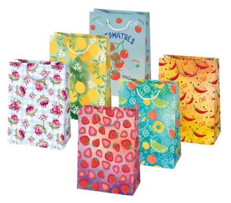 Papírová taška PM T5 sestava 219