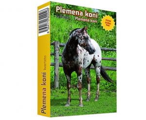 MP karty kvarteto Koně