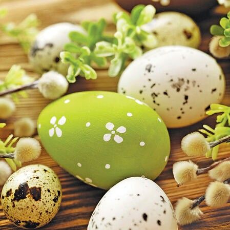 Ubrousky PAW Dekor L (20ks) GentleEggs among Catkons