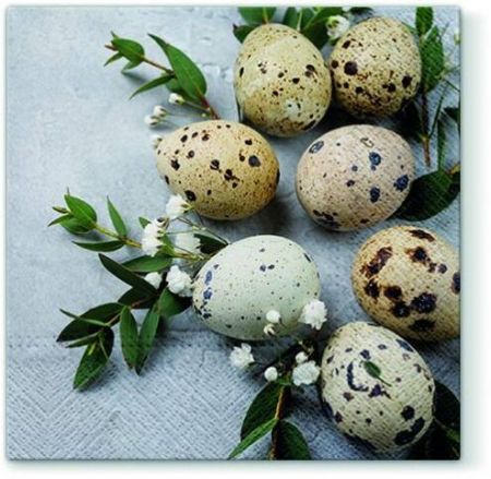 Ubrousky PAW Dekor L (20ks) Natural Egg
