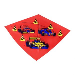 Drak létající 2 druhy, 110 x 71 cm