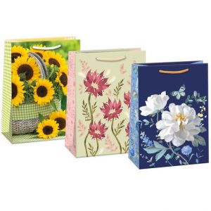 ARGUS Dárková papírová taška (34.5 x 48 cm) mix 12 ks 07950009h