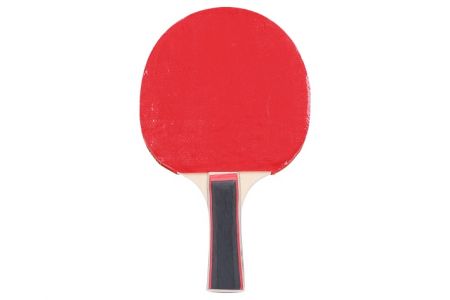 Pálka na stolní tenis s pouzdrem
