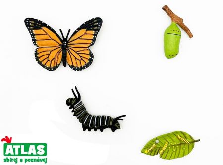 Figurka Motýl Monarcha stěhovavý 4 vývojové fáze 8 cm