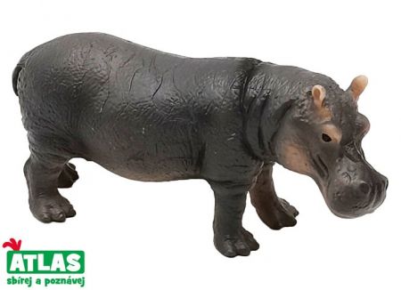 Figurka Hroch obojživelný 12 cm